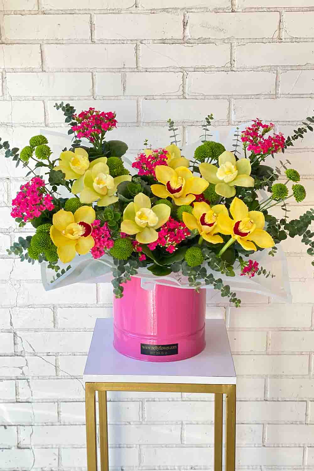 ۴۵ سانت ارکیده های سیمبیدیوم رنگی نلی