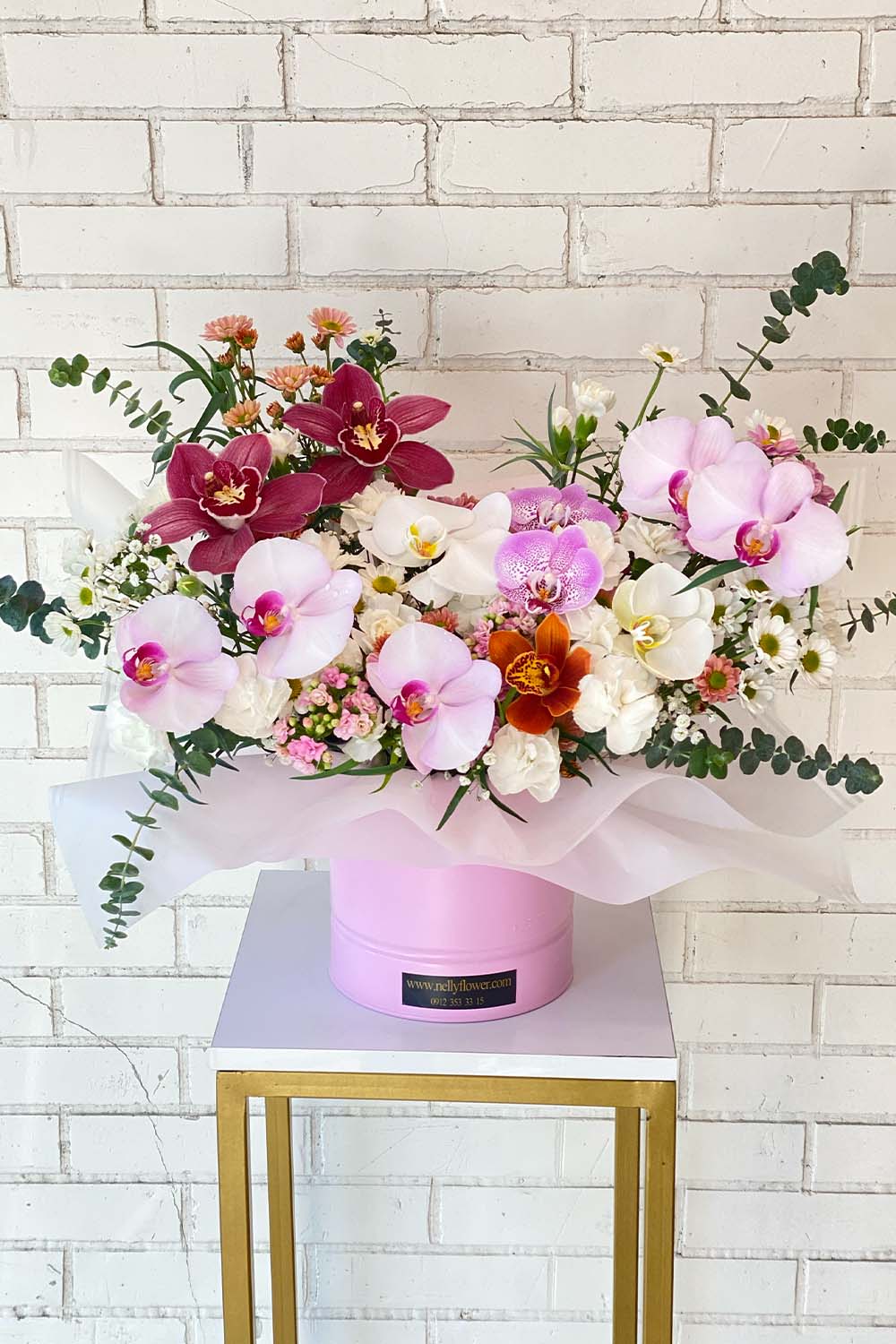 ۴۵ سانت نلی با انواع ارکیده