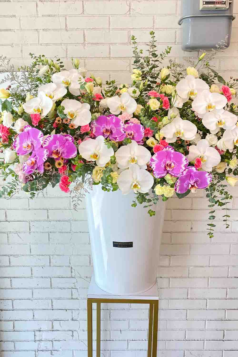 سایز بزرگ ۹۰ سانت تمام ارکیده رنگی